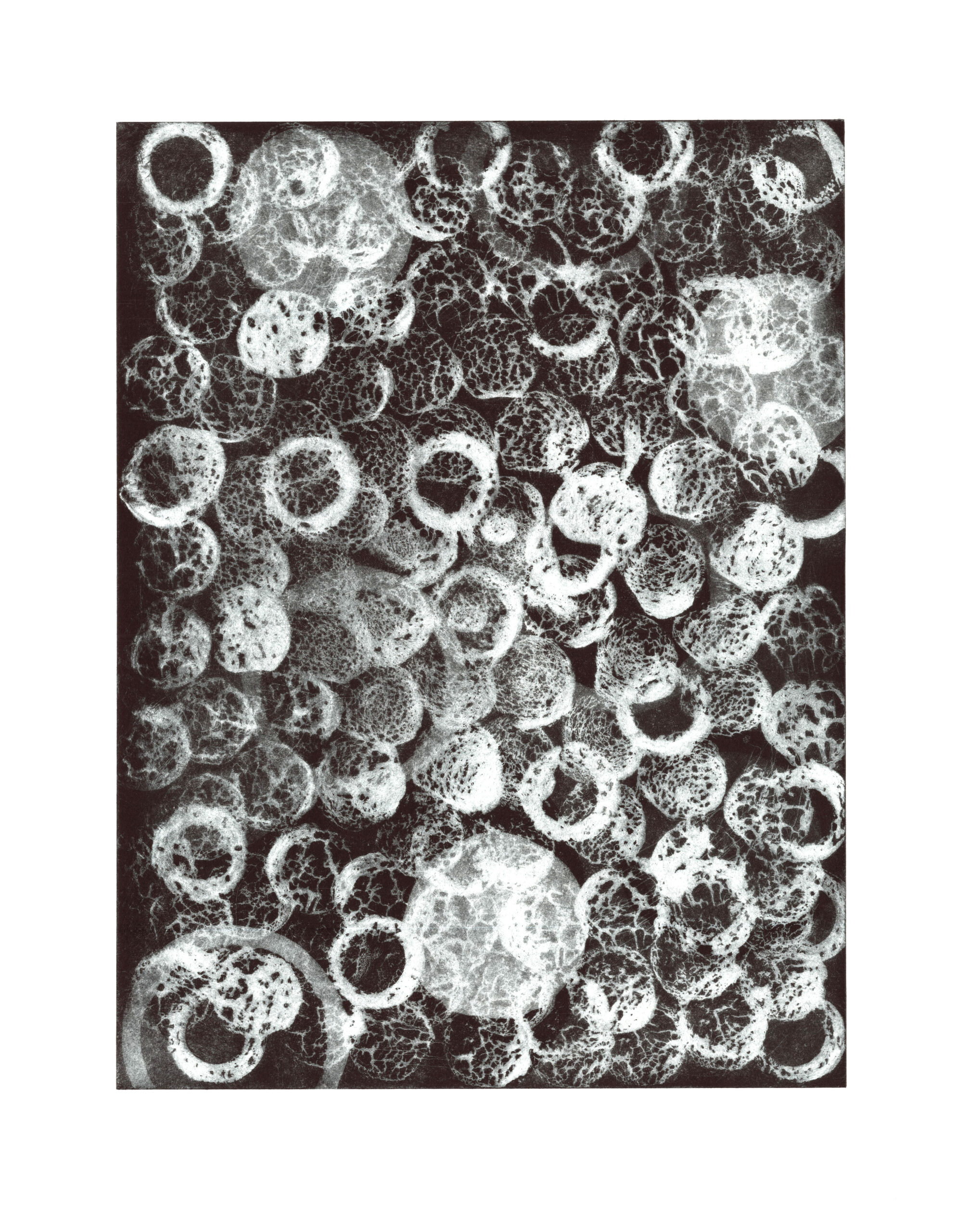 Unbenannter Beitrag 1434